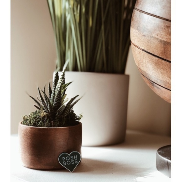 Posh Boss • Swag, Accessory, Lapel Pin, Brand New - Picture 7 of 8